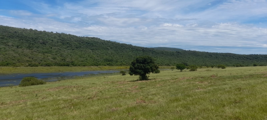 Commercial Property for Sale in Komga Rural Eastern Cape